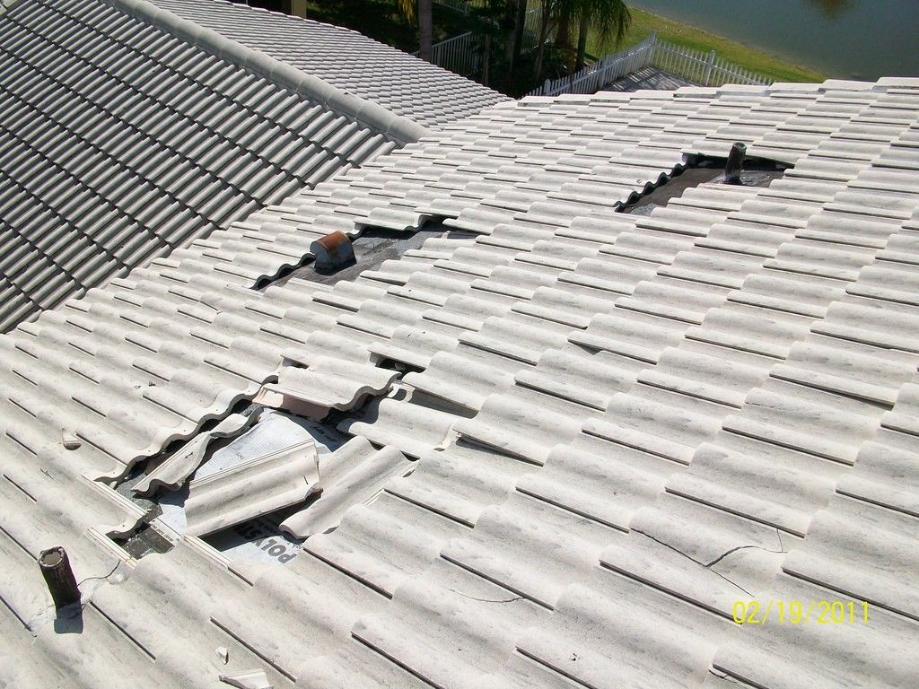 PVC Roofing